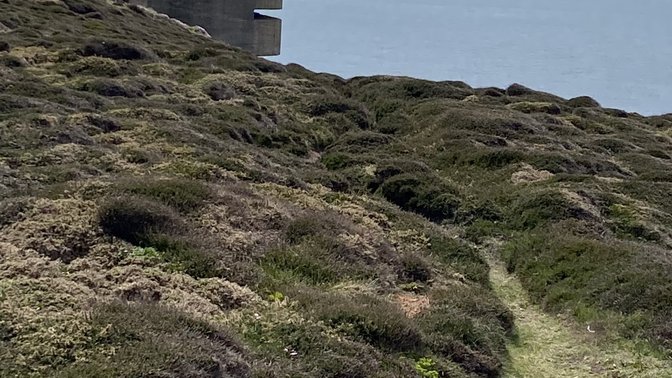 German WWII Observation Bunker