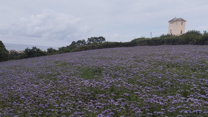 Nicolle Tower (Landmark Trust)