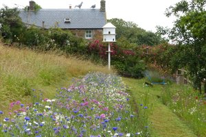 Judith Queree\u0027s Garden