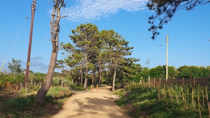 La Table des Marthes
