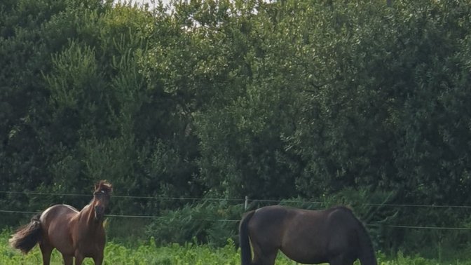 La Table des Marthes