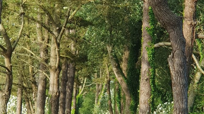 La Table des Marthes