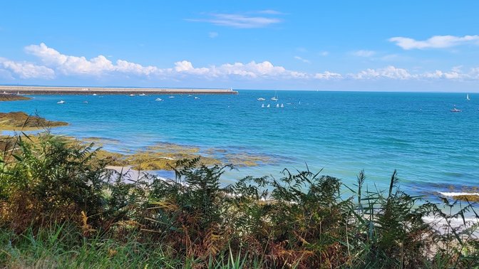 The Palms Campsite & Oasis Cafe