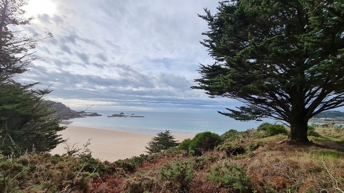 WWII German Gun Battery