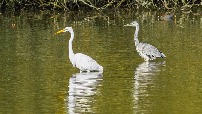Queen's Valley Reservoir