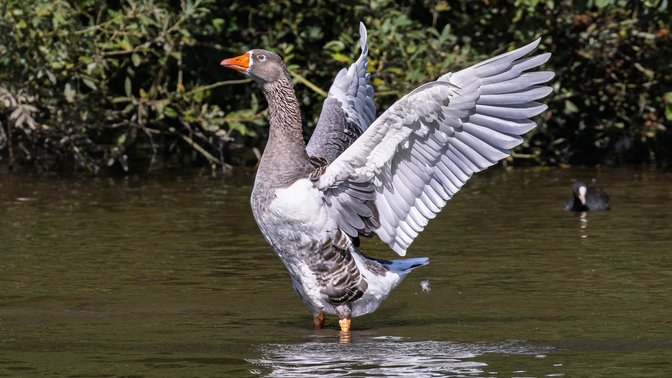 Queen's Valley Reservoir