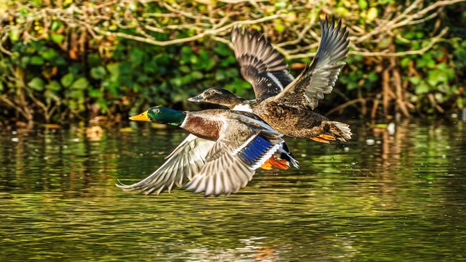 Queen's Valley Reservoir