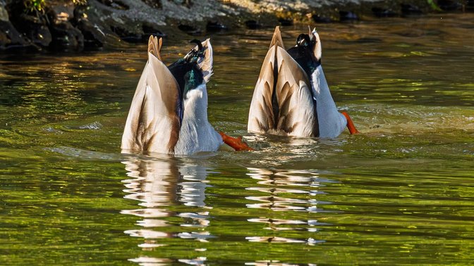 Queen's Valley Reservoir