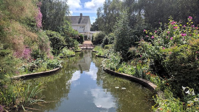 Reg's Award Winning Gardens