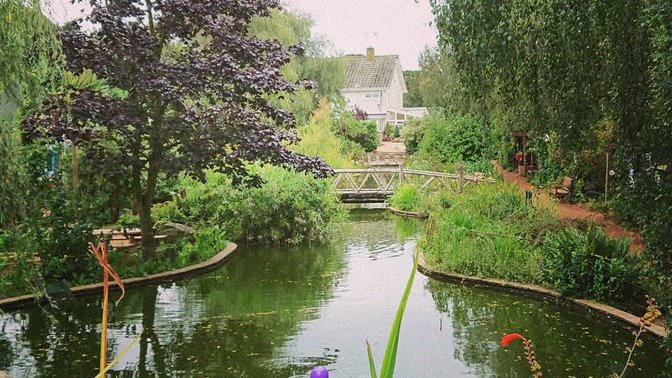 Reg's Award Winning Gardens