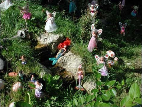 Reg's Award Winning Gardens