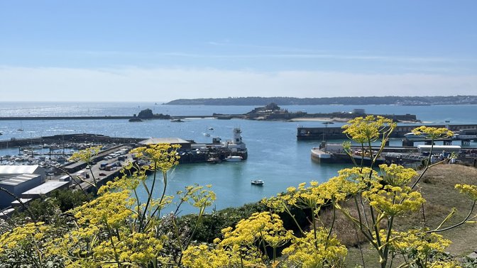 German Artillery Emplacments