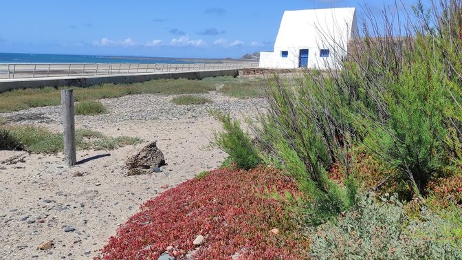 Le Don Hilton / La Caumine à Marie Best