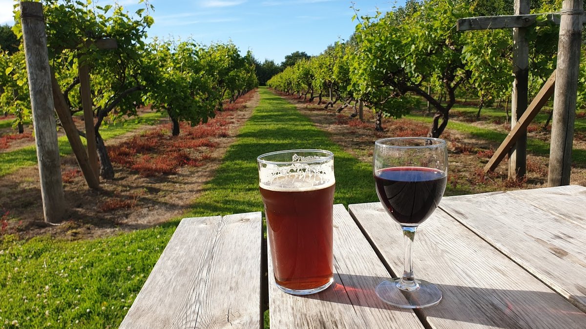 Jersey Vineyard and Distillery Tours: Complete Wine Tasting and Craft Spirits Guide