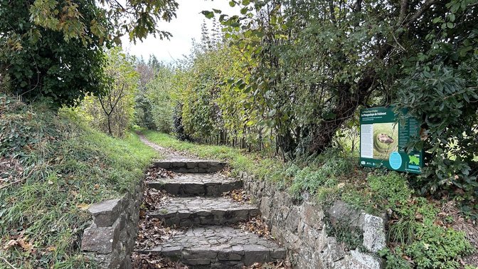 Faldouet Dolmen (La Pouquelaye de Faldouet)