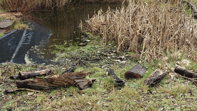 Frances Le Sueur Centre