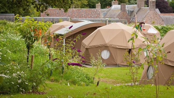 Durrell Wildlife Camp