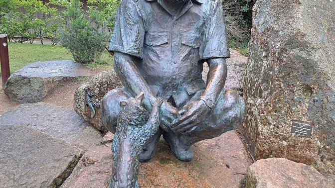 Durrell Wildlife Camp