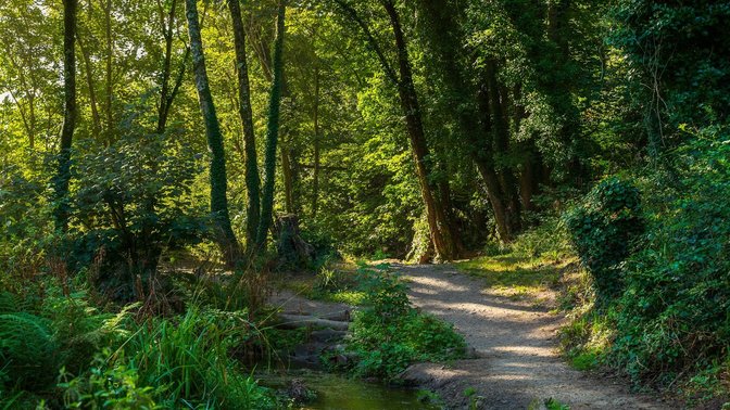 St Catherine’s Woods - St. Martin’s Entrance