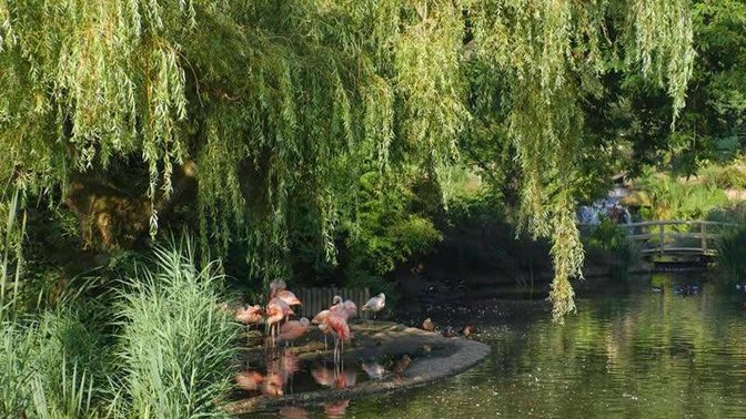 Durrell Wildlife Hostel