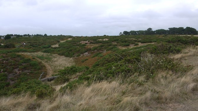Les Creux Millenium Park