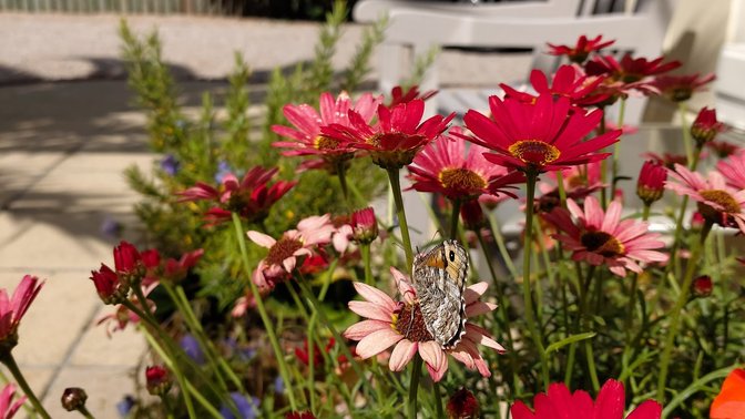 Les Creux Millenium Park