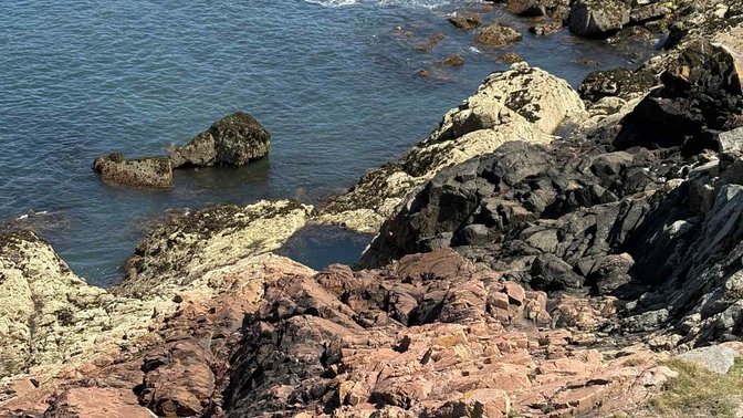 Lavoir des Dames, Sorel