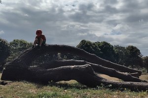 St Andrew\u0027s Park