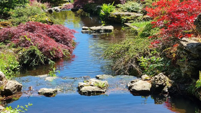 The Botanic Gardens and Samarès Manor