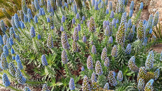 Churchill Memorial Park