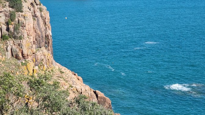 Portelet Common View Point