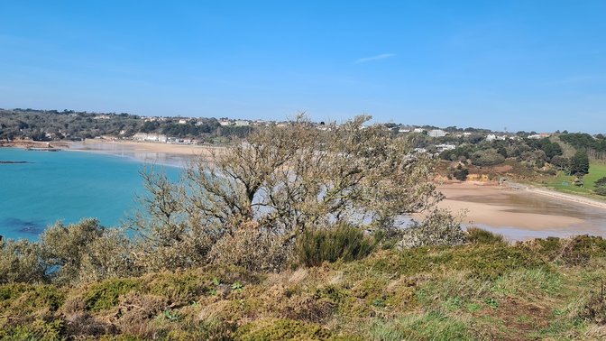 Portelet Common View Point