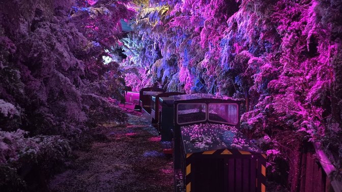 Jersey Miniature Railway