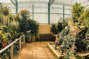 Eric Young Orchid Foundation