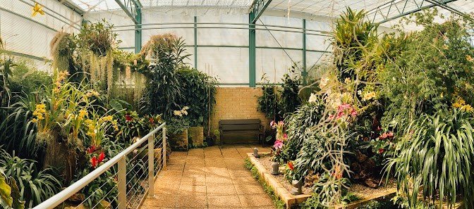 Eric Young Orchid Foundation