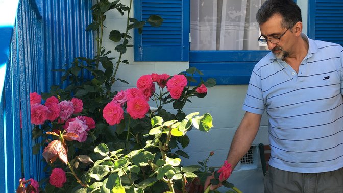 Avoca Villa Guest House