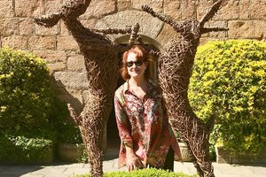 Channel Hotels \u0026 Leisure Ltd