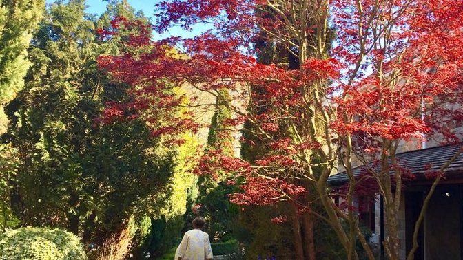 Channel Hotels & Leisure Ltd