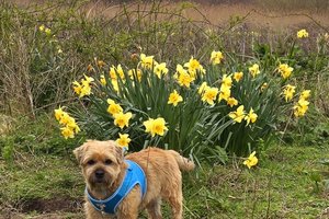 Les Mielles Nature Reserve