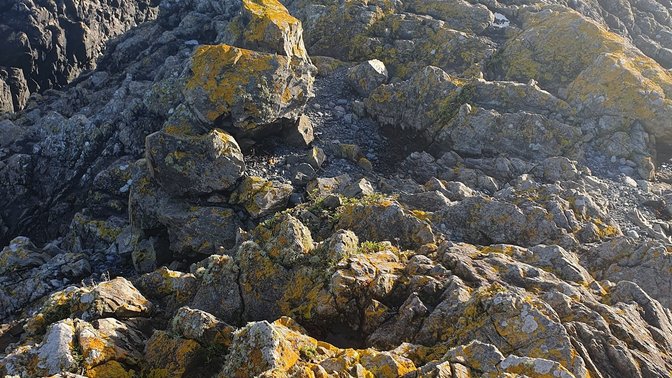 Les Mielles Nature Reserve