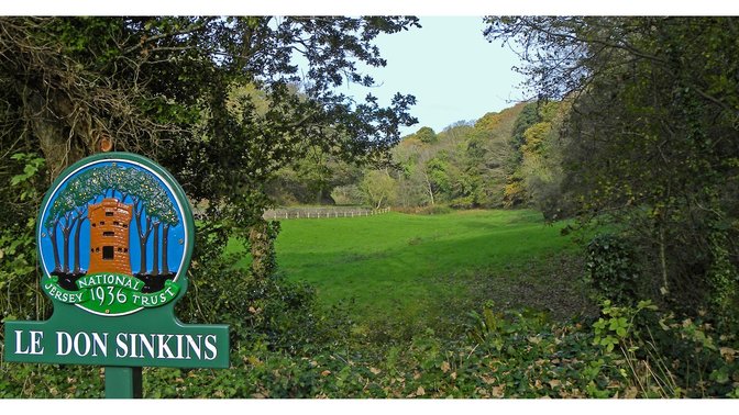 Le Don Sinkins (site of former willow toad)