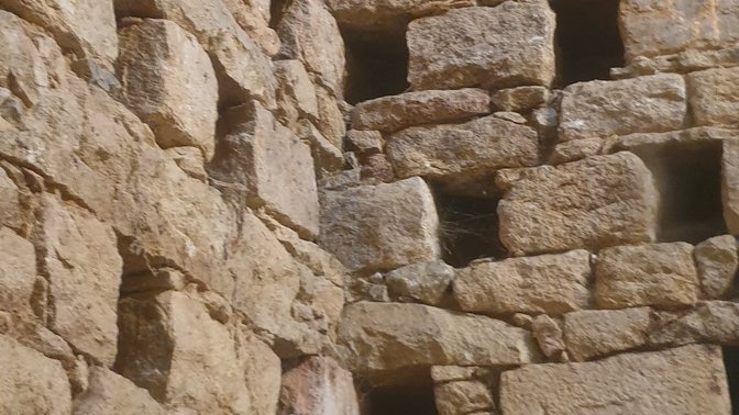 The Hamptonne Colombier (Pigeon House)