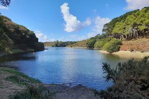 Val de la Mare Arboretum
