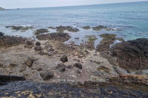 St Catherine\u0027s Bay