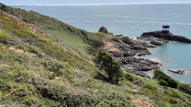 Channel Islands Occupation Society (Jersey) Limited