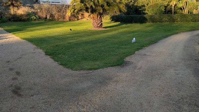 Coronation Park (Millbrook Park)
