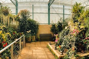 Eric Young Orchid Foundation