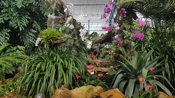 Eric Young Orchid Foundation