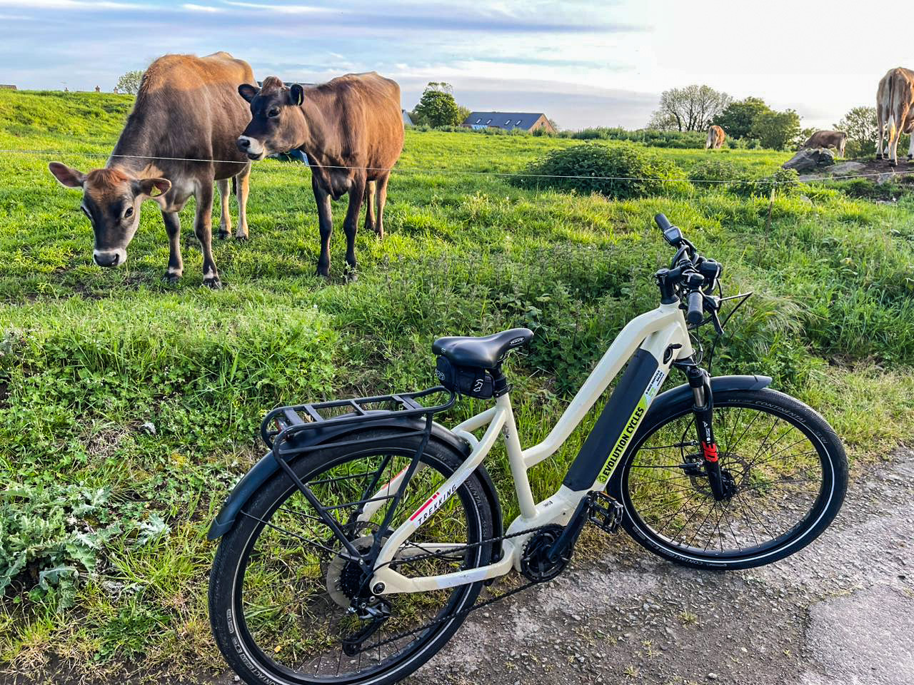 A Visitor's Practical Guide to Cycling in Jersey: Routes, Hire, and Road Rules
