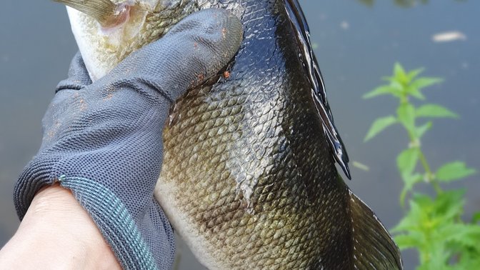 Fishing Jersey